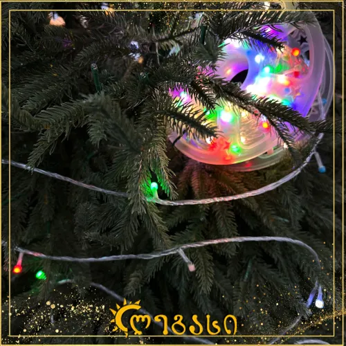 საახალწლო ნაძვის ხის განათებნა