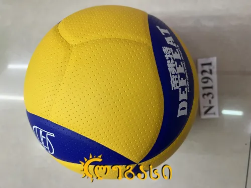 ფრენბურთის ბურთი