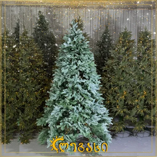 საახალწლო ნაძვის ხე-210