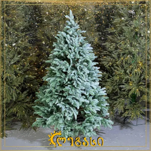 საახალწლო ნაძვის ხე-150