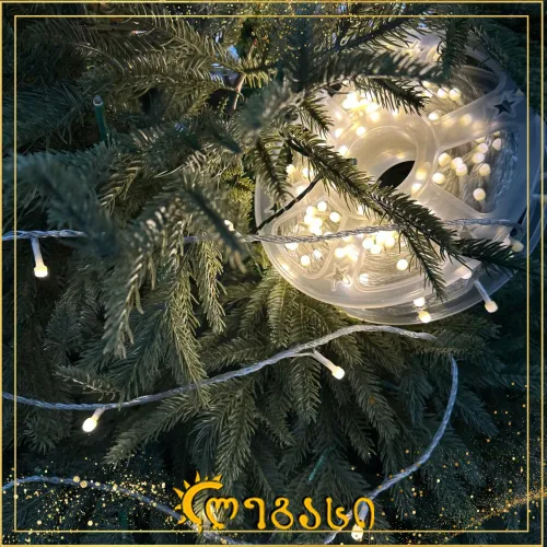 საახალწლო ნაძვის ხის განათებნა