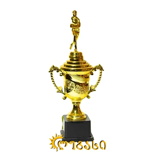 სპორტის თასი (ჯილდო, პრიზი) 31 სმ