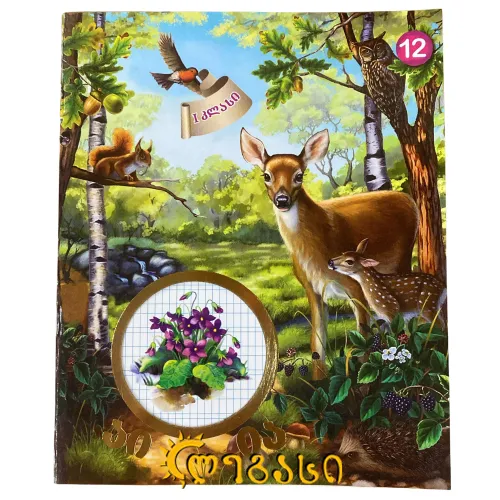 რვეული 12 ფ აი ია