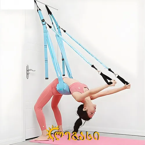 სავარჯიშო საკიდარი ლენტი HJ-61013C