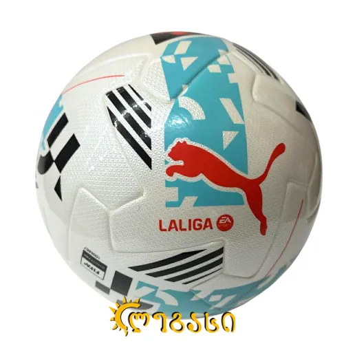 ფეხბურთის ბურთი