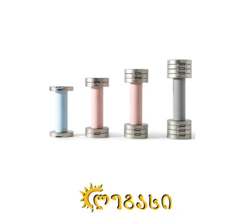 სავარჯიშო ჰანტელი მაგნიტური  წყვილი SC-80370(5KG